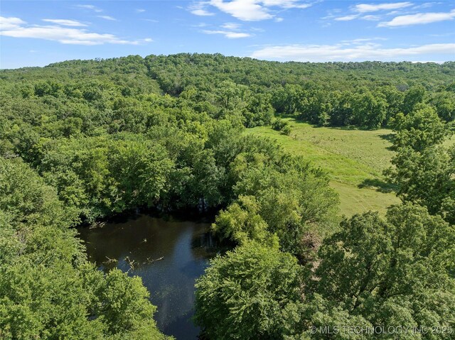 4124 Salerno Ln, Marietta, OK 73448 - photo 60