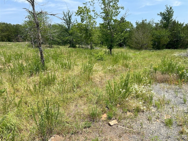 183006 N 4170th Rd, Moyers, OK 74557 - view of tree filled area