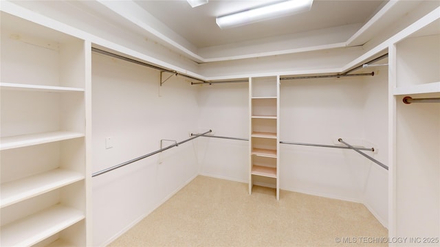 3302 Callaway Dr, Claremore, OK 74019 - walk in closet with light carpet