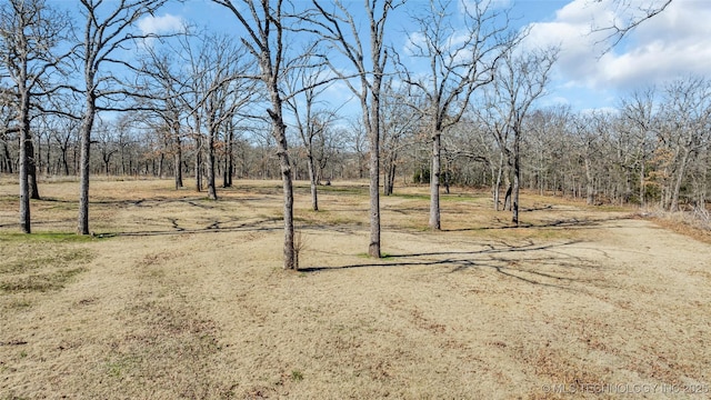 6335 S Watson, Sulphur, OK 73086 - view of yard