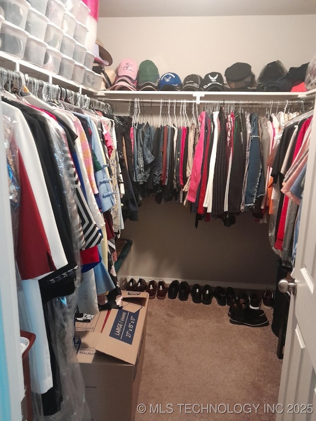 14652 S 276th E Ave, Coweta, OK 74429 - walk in closet featuring carpet flooring