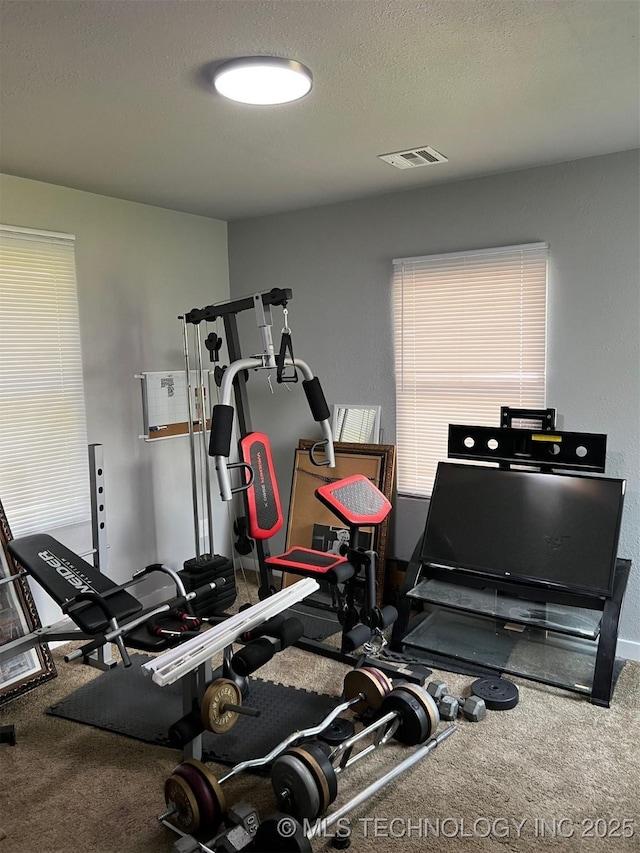 329 E Zion Pl, Tulsa, OK 74106 - exercise room with carpet floors