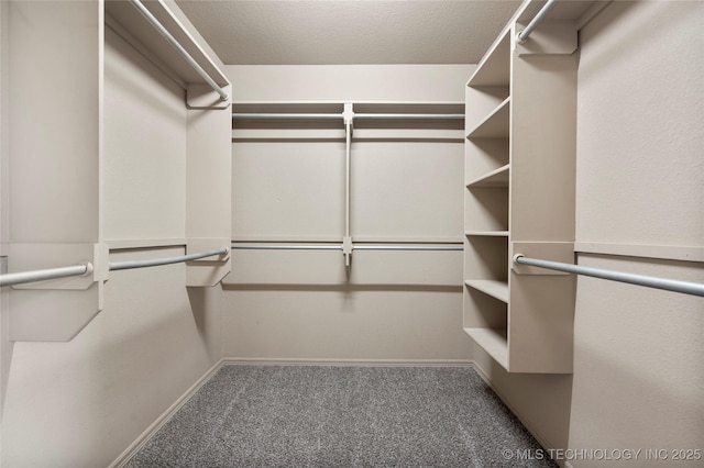 1908 E 133rd Ct, Bixby, OK 74008 - walk in closet with carpet floors