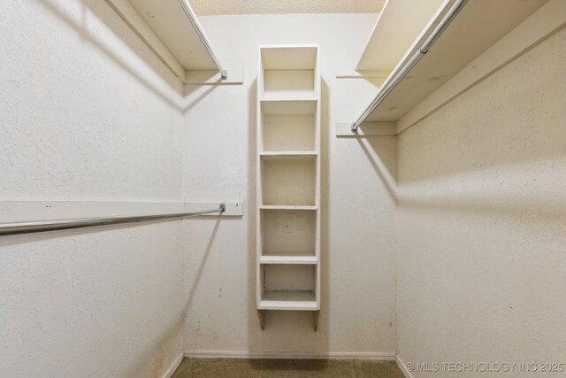 8202 S Ash Pl, Broken Arrow, OK 74011 - spacious closet featuring carpet floors