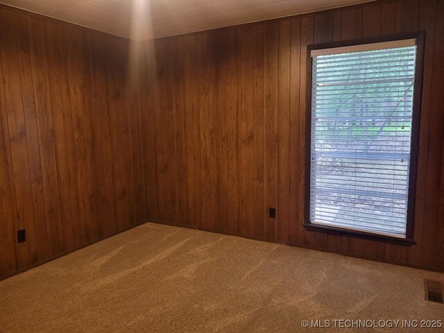 1296 Robin Hood Rd, Eufaula, OK 74432 - carpeted spare room with healthy amount of natural light and wood walls