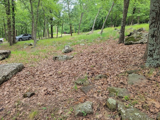 1296 Robin Hood Rd, Eufaula, OK 74432 - view of yard featuring a view of trees