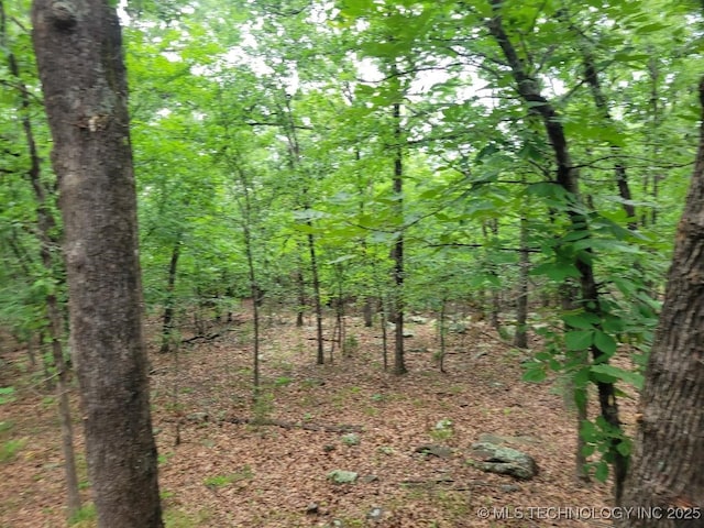 1296 Robin Hood Rd, Eufaula, OK 74432 - view of woods