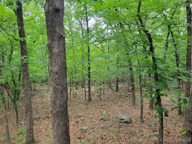 1296 Robin Hood Rd, Eufaula, OK 74432 - view of wooded area