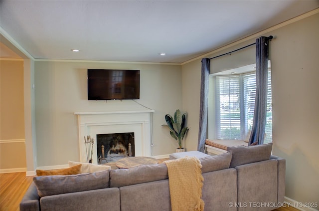 2328 S Delaware Ct, Tulsa, OK 74114 - living area with wood finished floors, ornamental molding, a fireplace, and recessed lighting