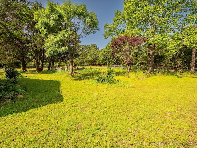 1015 Diehl Ln, Hartshorne, OK 74547 - view of yard