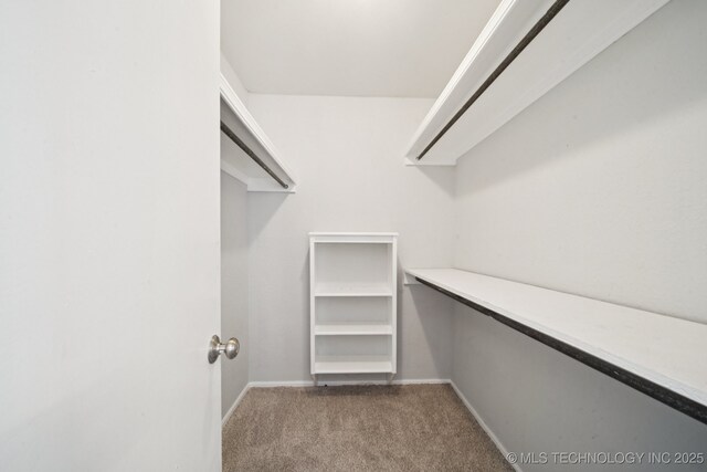7927 S 86th E Ave, Tulsa, OK 74133 - walk in closet with carpet