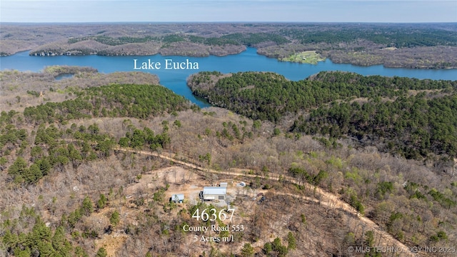 46367 County Road 553, Colcord, OK 74338 - drone / aerial view of a forest and a nearby body of water