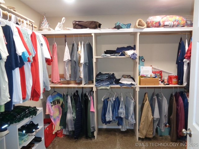 419124 E 1144th Rd, Checotah, OK 74426 - view of spacious closet