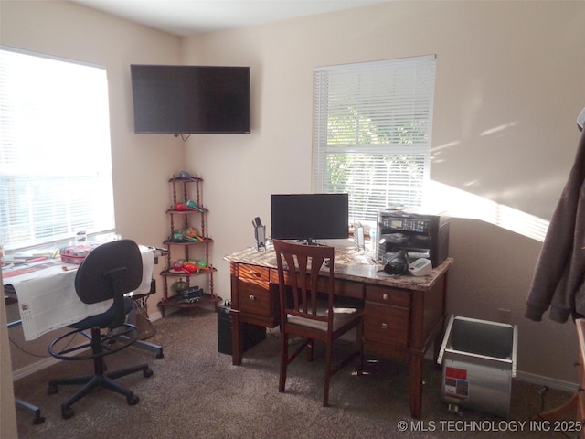 419124 E 1144th Rd, Checotah, OK 74426 - office space with plenty of natural light and dark carpet