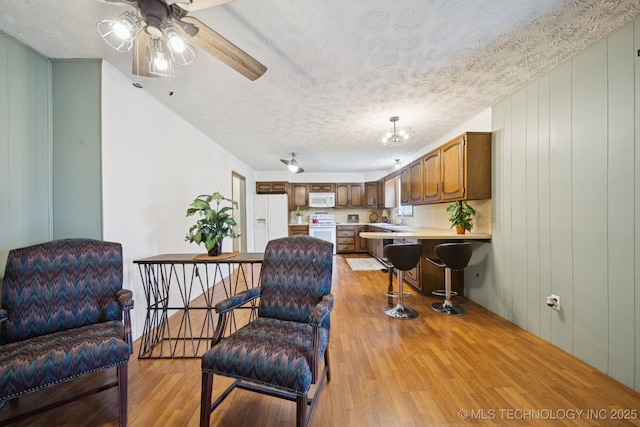 18005 S 4185th Rd, Claremore, OK 74017 - living room featuring light wood finished floors, a textured ceiling, and ceiling fan