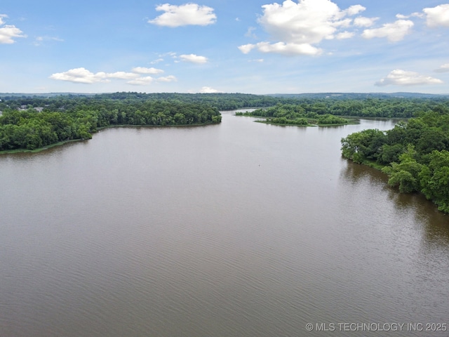 18005 S 4185th Rd, Claremore, OK 74017 - water view with a forest