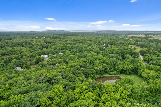 15194 Flintlock Dr, Claremore, OK 74017 - photo 14