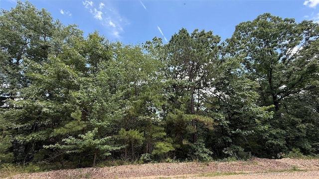 1747 Berryhill Rd, Kansas, OK 74347 - photo 3