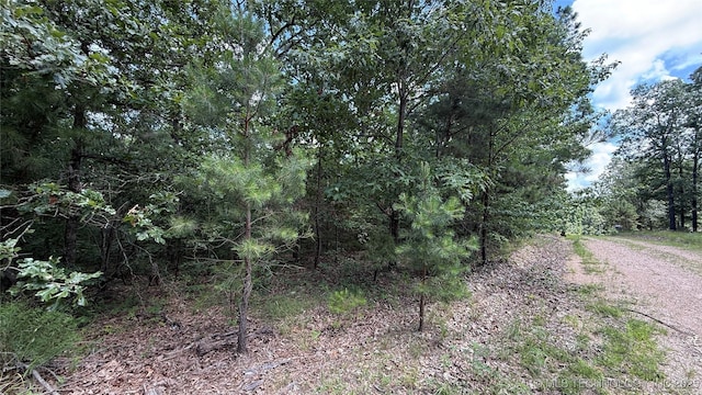 1747 Berryhill Rd, Kansas, OK 74347 - photo 7