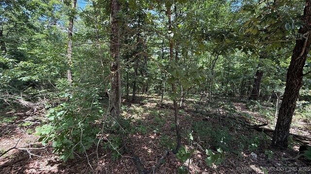 1747 Berryhill Rd, Kansas, OK 74347 - photo 8