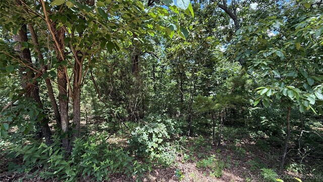 1747 Berryhill Rd, Kansas, OK 74347 - photo 9