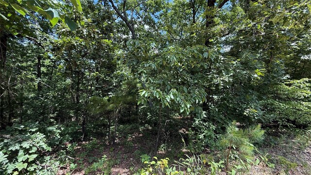 1747 Berryhill Rd, Kansas, OK 74347 - photo 10