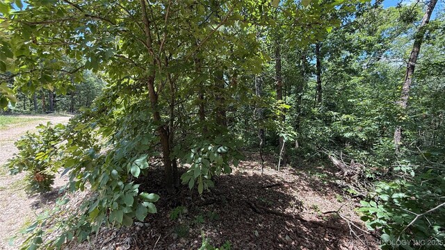 1747 Berryhill Rd, Kansas, OK 74347 - photo 12
