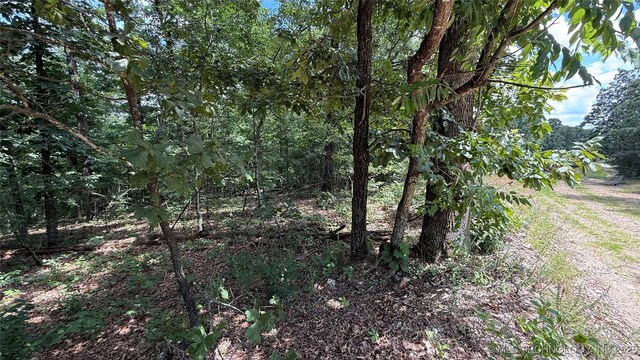 1747 Berryhill Rd, Kansas, OK 74347 - photo 13