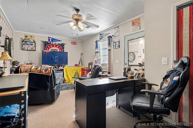 367 Elm, Lone Grove, OK 73443 - office area featuring carpet, ceiling fan, a textured wall, and ornamental molding