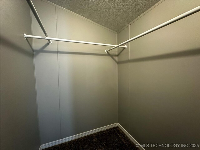 37103 S 4390th Rd, Adair, OK 74330 - spacious closet with lofted ceiling