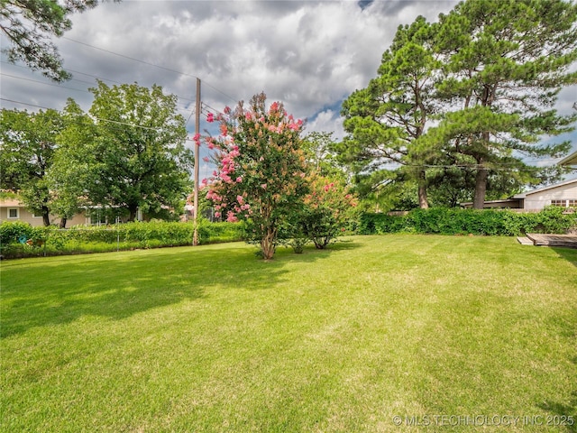 1508 E Seminole Ave, Mcalester, OK 74501 - view of green lawn