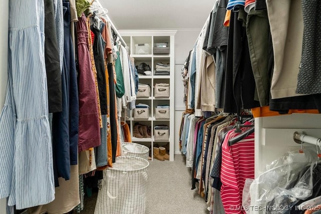 9703 S 100th E Ave, Tulsa, OK 74133 - spacious closet with carpet flooring