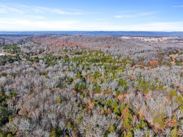 00 S 4570, Vian, OK 74962