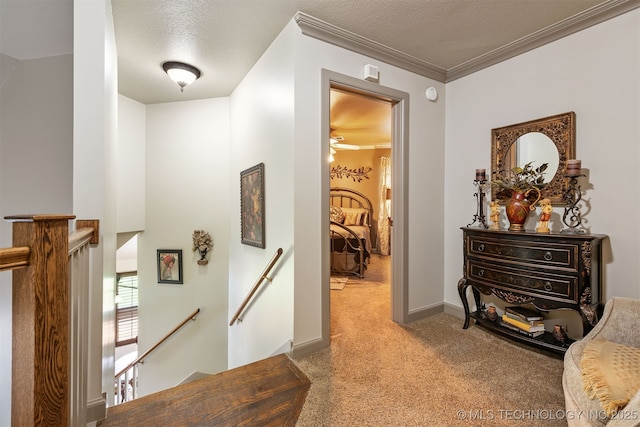 72878 S 230th Rd, Wagoner, OK 74467 - hallway with an upstairs landing, carpet, and crown molding