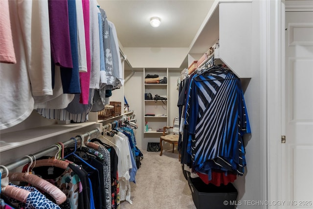 9034 S Maplewood Ave, Tulsa, OK 74137 - spacious closet with carpet flooring