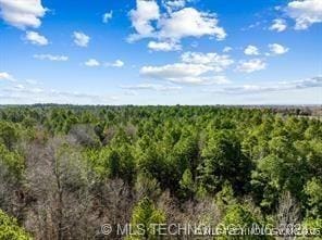 Red Rd, Hugo, OK 74735