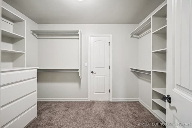 1620 E Boston Ct, Broken Arrow, OK 74012 - walk in closet featuring carpet floors