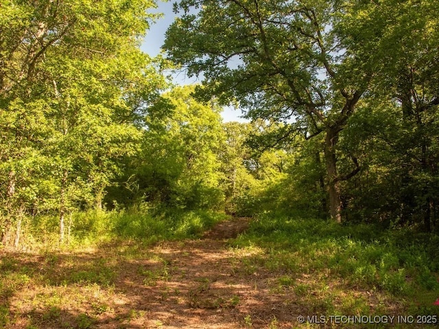 1295 Fresno Rd, Wilson, OK 73463 - photo 16