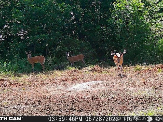 1295 Fresno Rd, Wilson, OK 73463 - photo 17