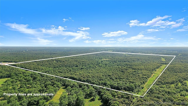 1295 Fresno Rd, Wilson, OK 73463 - photo 1