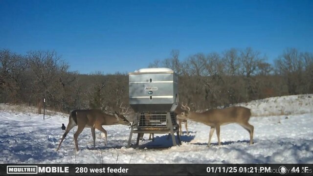 1295 Fresno Rd, Wilson, OK 73463 - photo 20