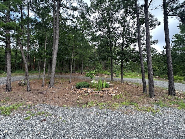 13425 SW 1025th Ave, Tuskahoma, OK 74571 - view of nature