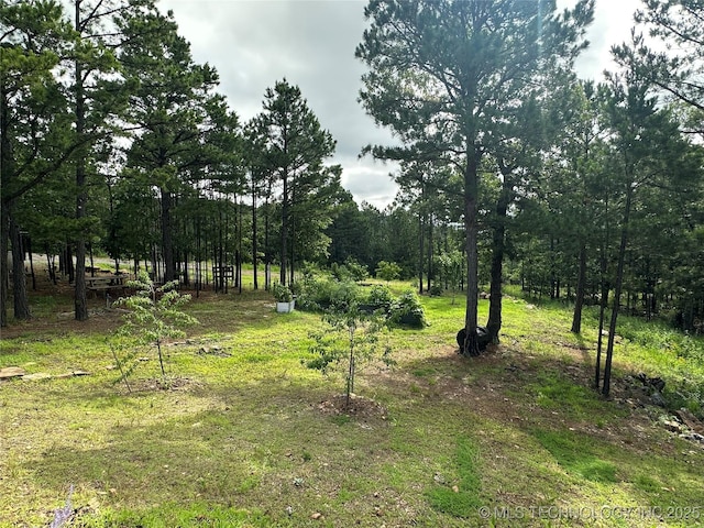 13425 SW 1025th Ave, Tuskahoma, OK 74571 - view of nature