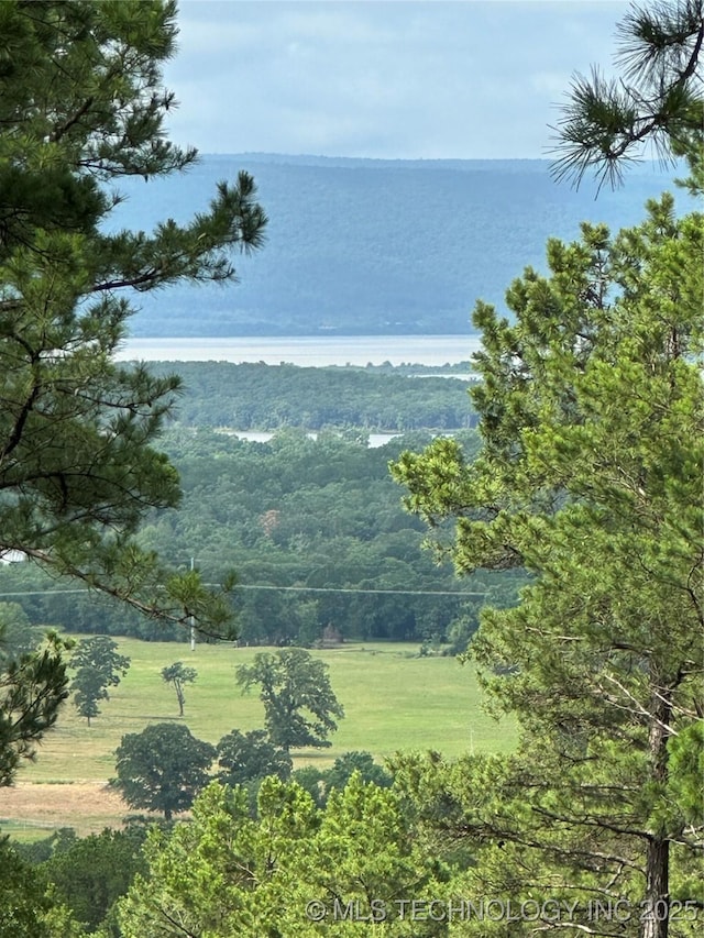 13425 SW 1025th Ave, Tuskahoma, OK 74571 - water view