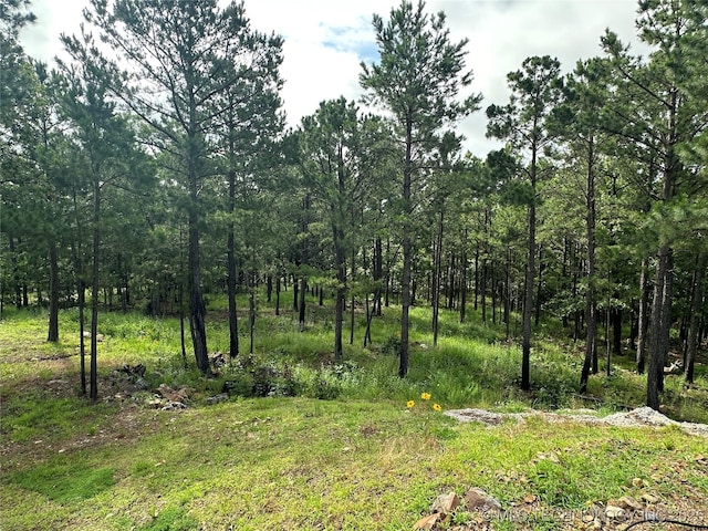 13425 SW 1025th Ave, Tuskahoma, OK 74571 - view of local wilderness