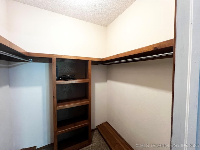 619 W 4th St, Skiatook, OK 74070 - walk in closet with carpet