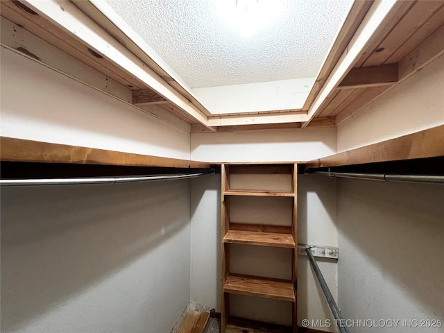 619 W 4th St, Skiatook, OK 74070 - view of spacious closet