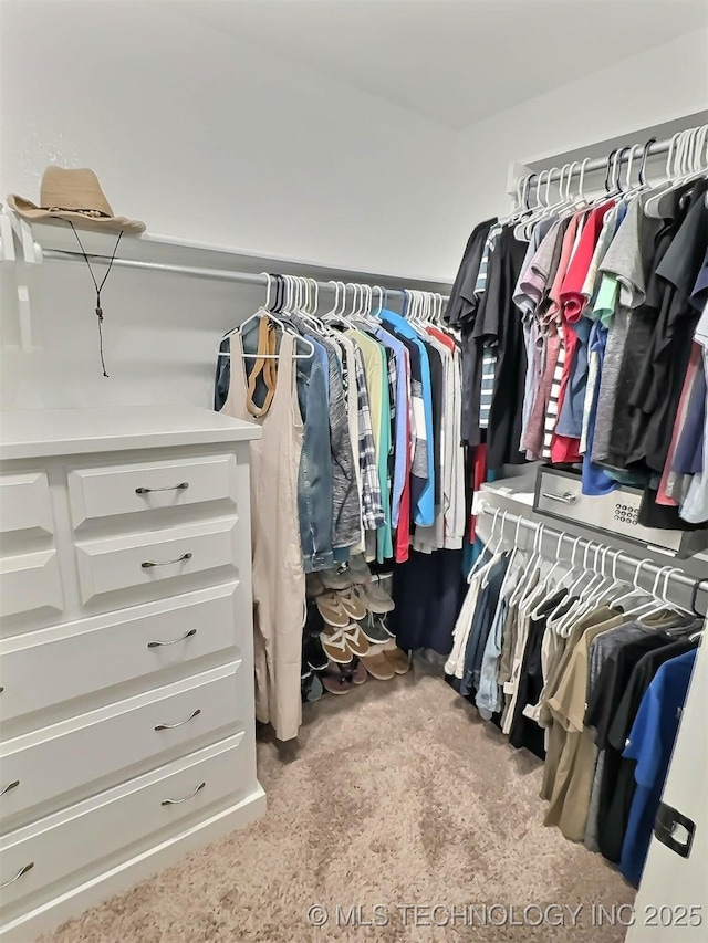 14603 E 114th St, Owasso, OK 74055 - view of spacious closet