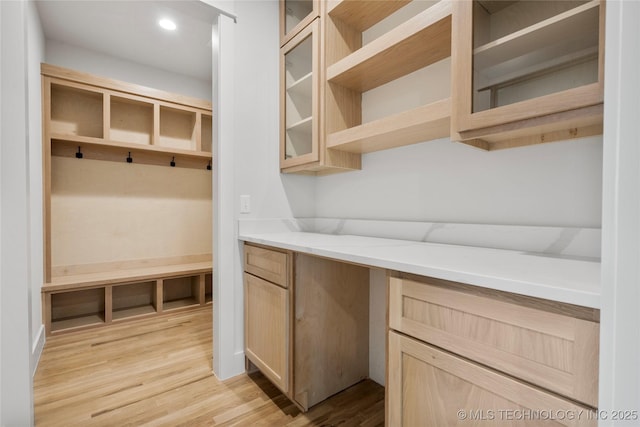 2048 E 128th Pl S, Jenks, OK 74037 - mudroom featuring light wood-style floors