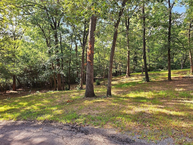 2417 Wilson St, Durant, OK 74701 - view of yard featuring a forest view